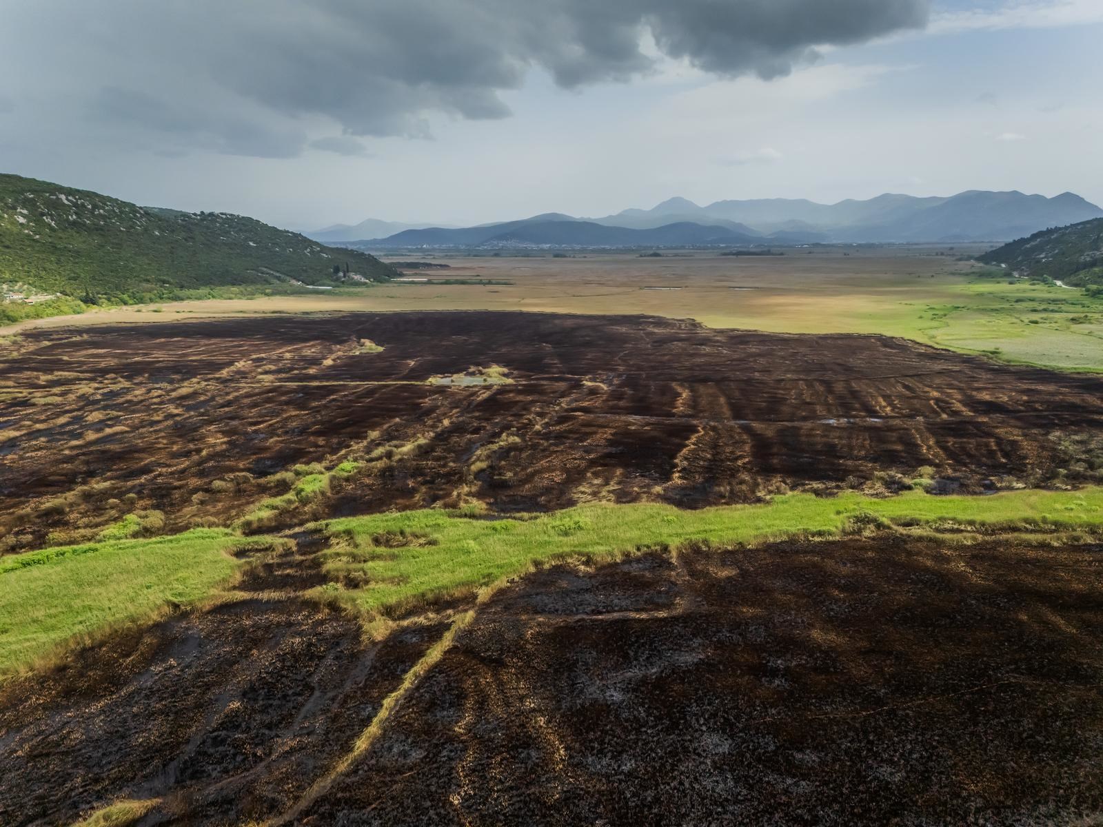 FOTO Ovako nakon velikog požara izgleda zaštićeni rezervat u dolini Neretve