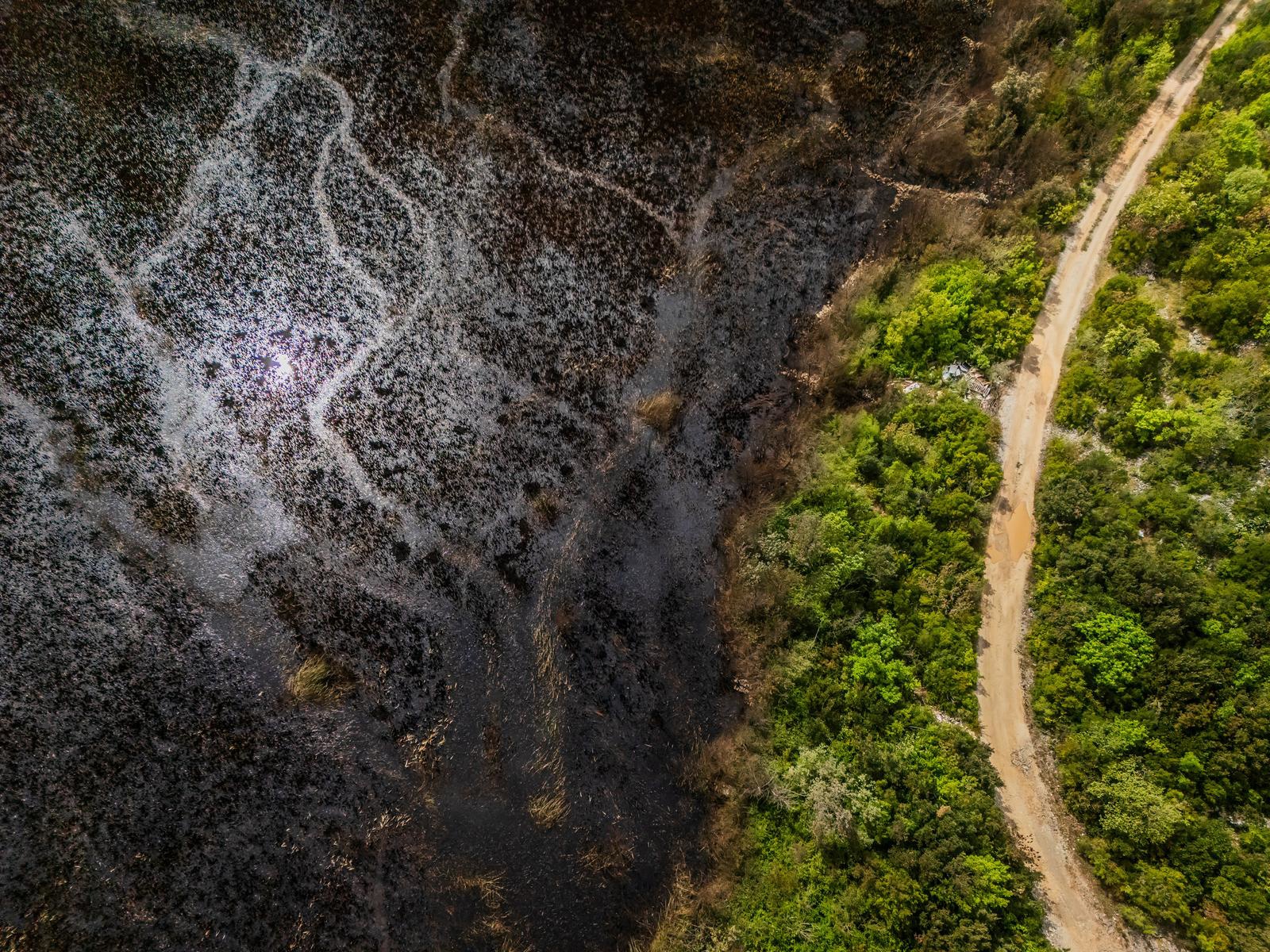 FOTO Ovako nakon velikog požara izgleda zaštićeni rezervat u dolini Neretve