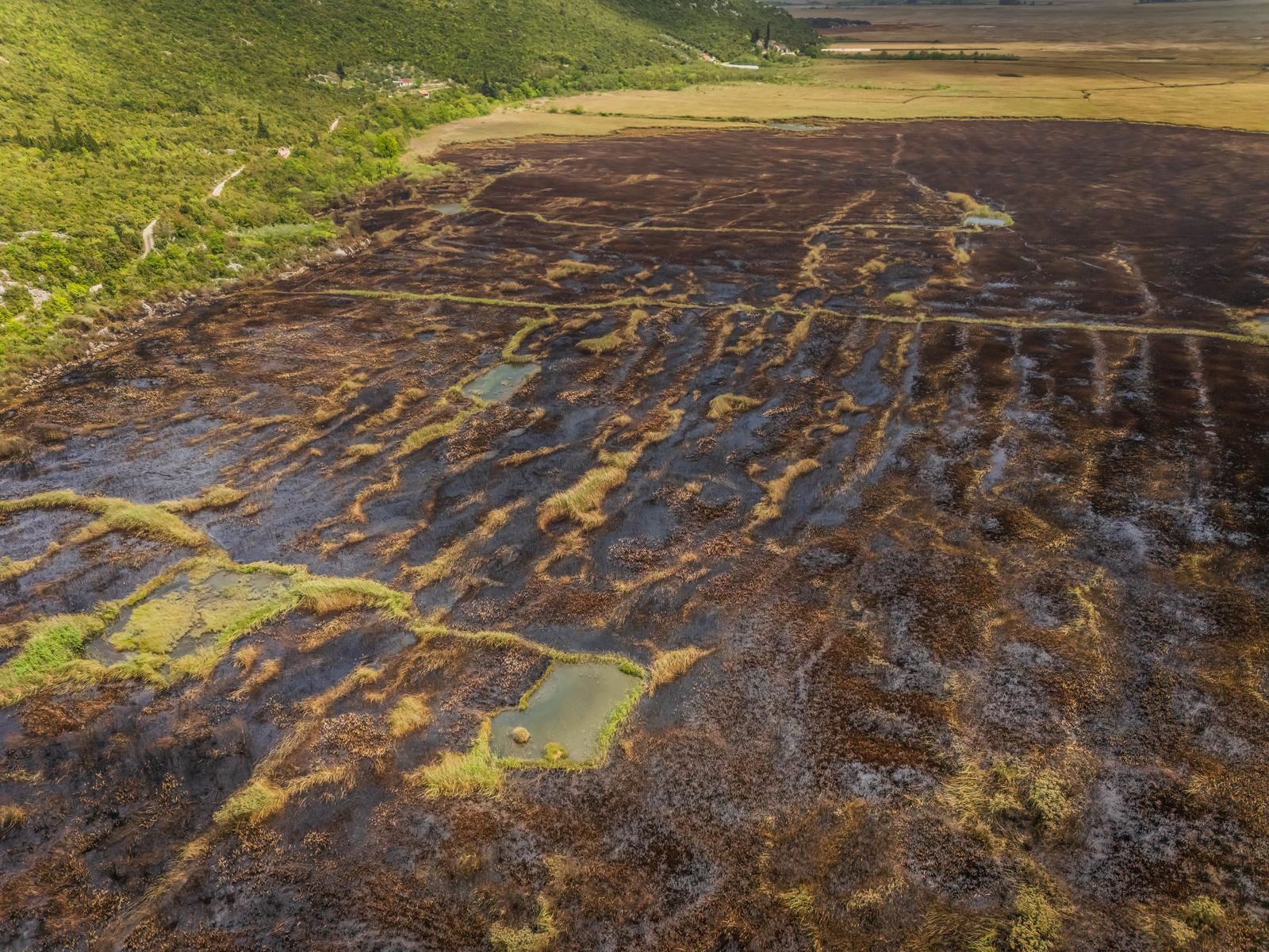 FOTO Ovako nakon velikog požara izgleda zaštićeni rezervat u dolini Neretve