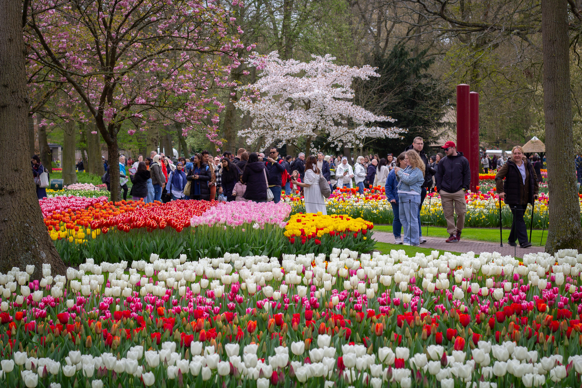 Tulipani su procvjetali u jednom od najvećih cvjetnih vrtova na svijetu