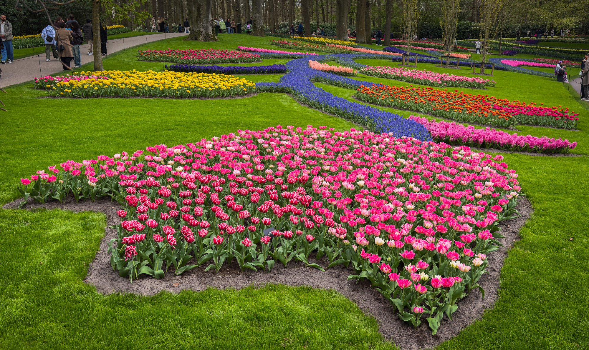 Tulipani su procvjetali u jednom od najvećih cvjetnih vrtova na svijetu