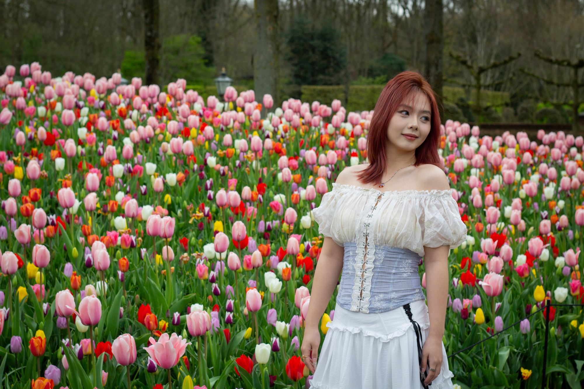 Tulipani su procvjetali u jednom od najvećih cvjetnih vrtova na svijetu