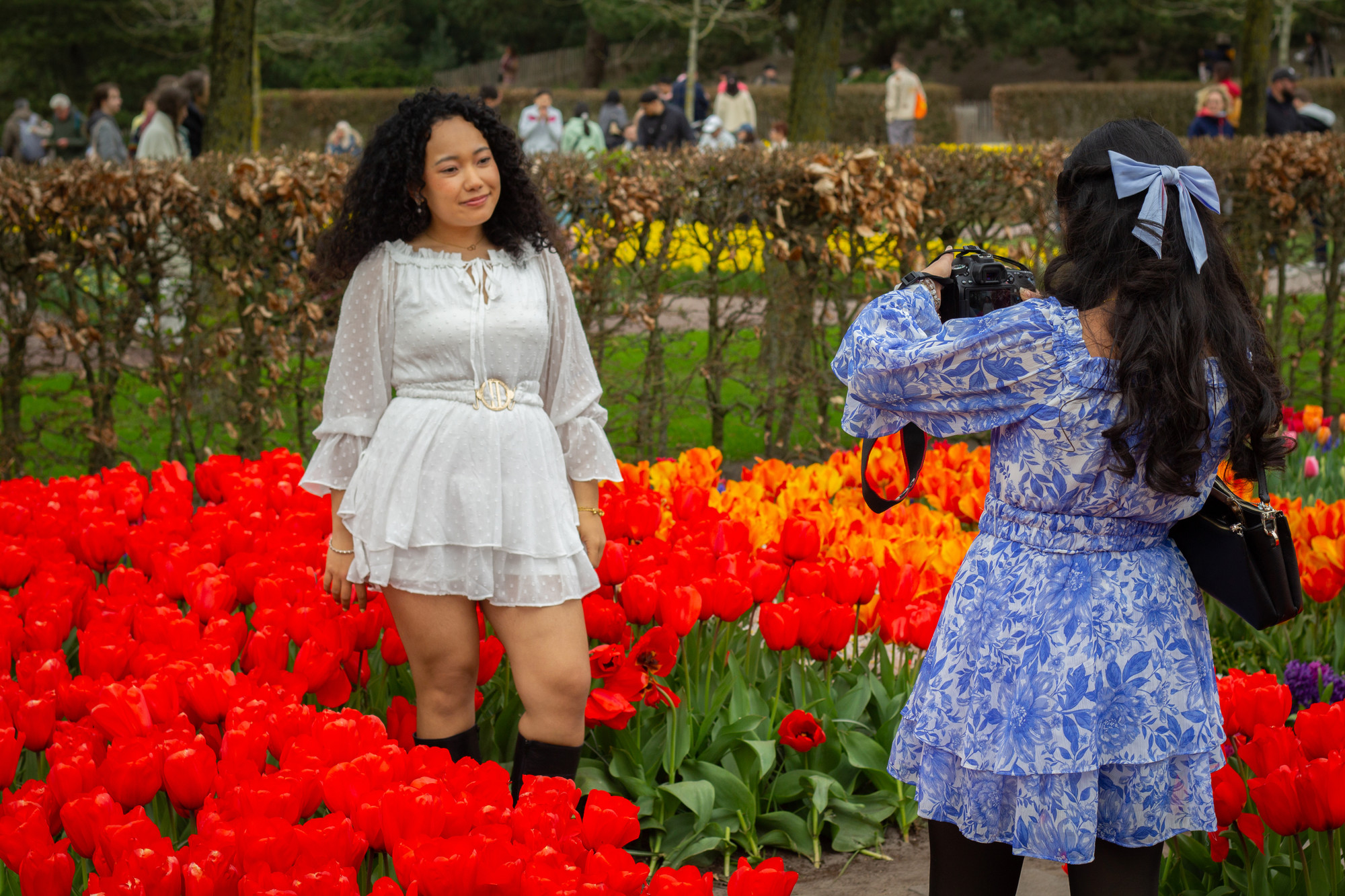 Tulipani su procvjetali u jednom od najvećih cvjetnih vrtova na svijetu