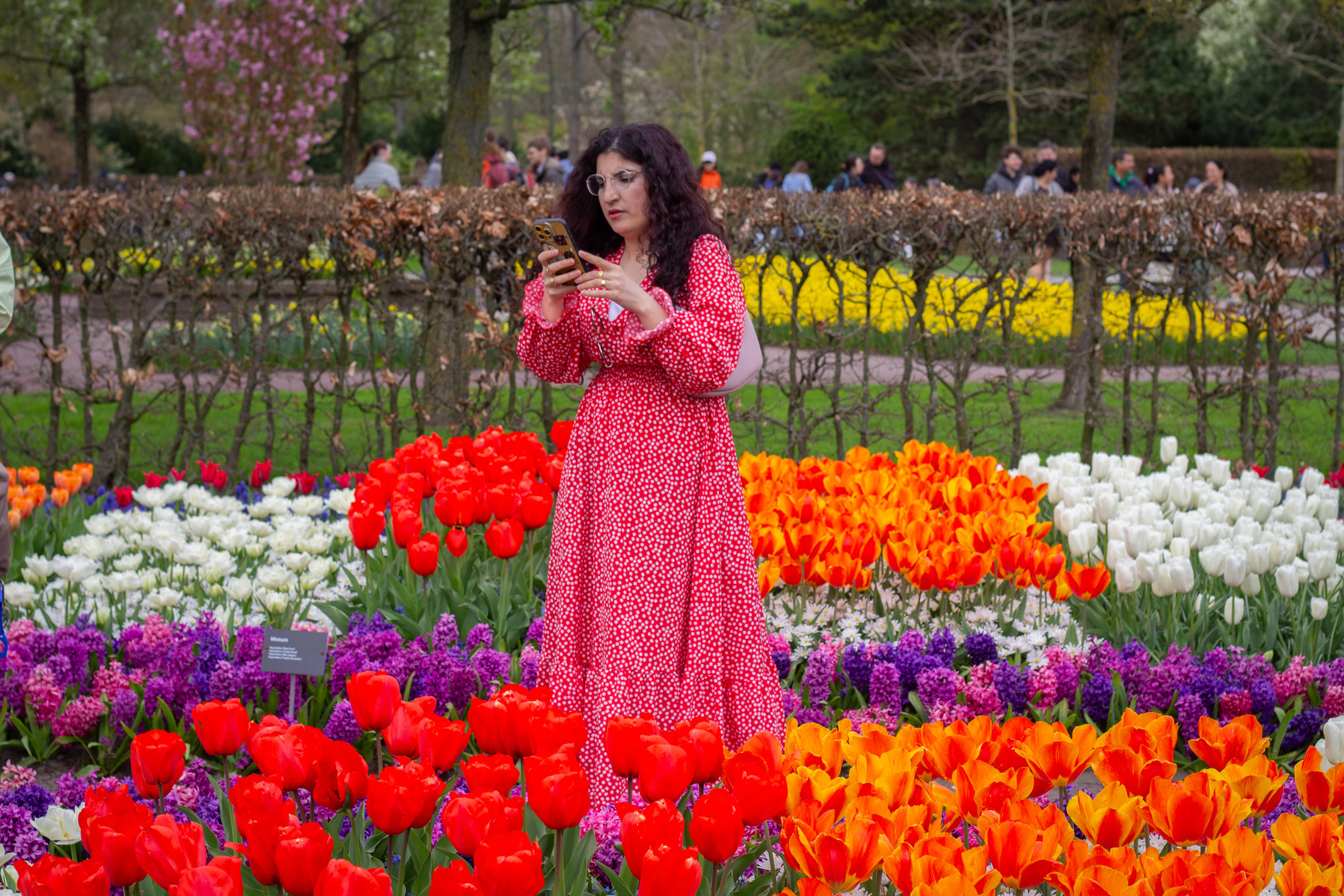 Tulipani su procvjetali u jednom od najvećih cvjetnih vrtova na svijetu