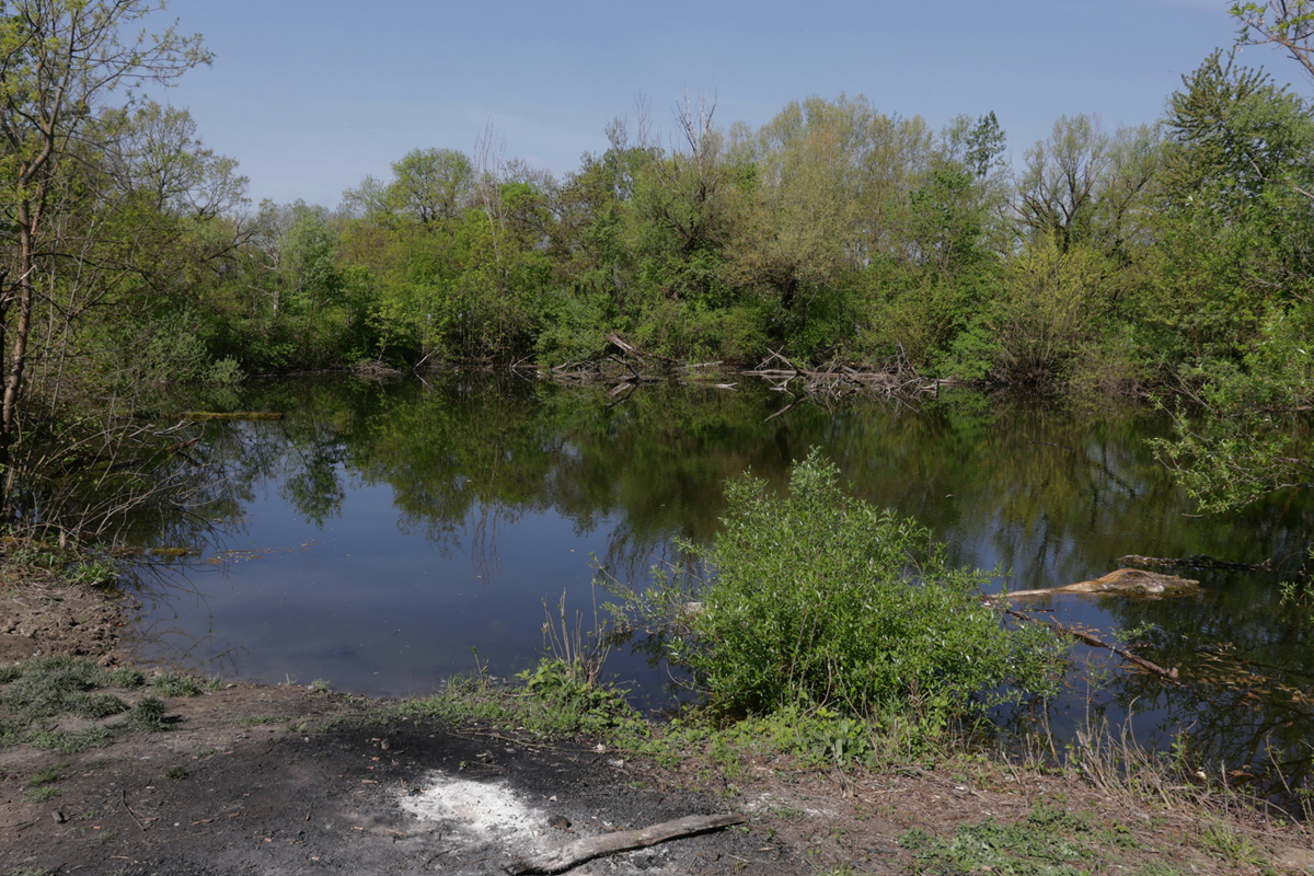 FOTO Tomašević, Grlić Radman i Vučković čistili smeće u Dubravi