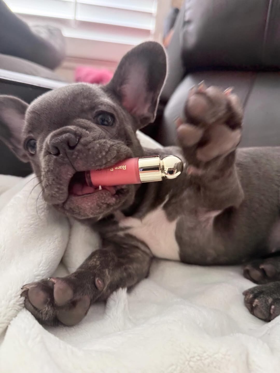 Brendovi o kojima Hrvati sanjaju godinama, a dostupni su u Sephori diljem svijeta