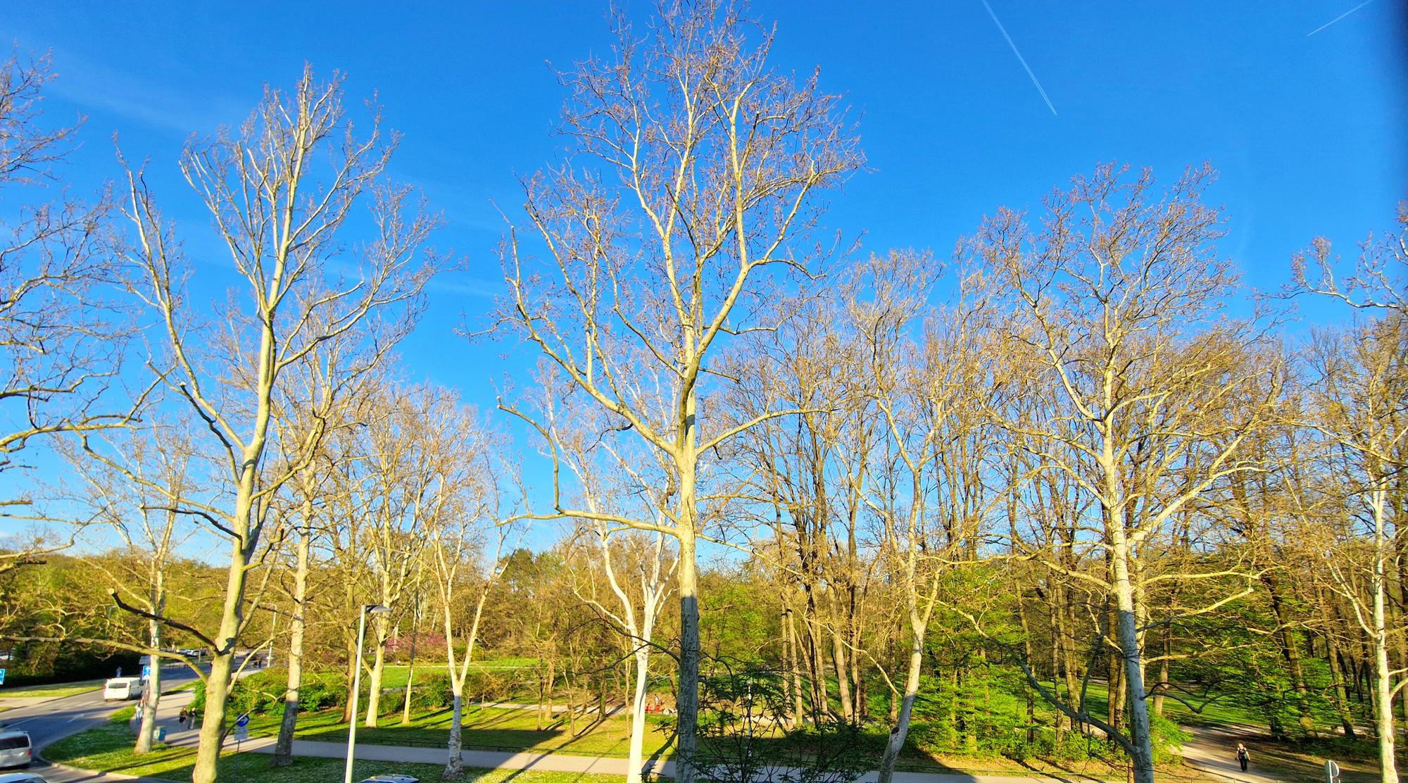 Prodaje se veći stan s pogledom na jedan od najljepših parkova u Zagrebu