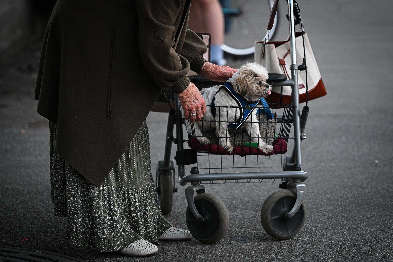 FOTO Dirljiv prizor iz Zagreba: Vlasnica je svog psa vozila u hodalici