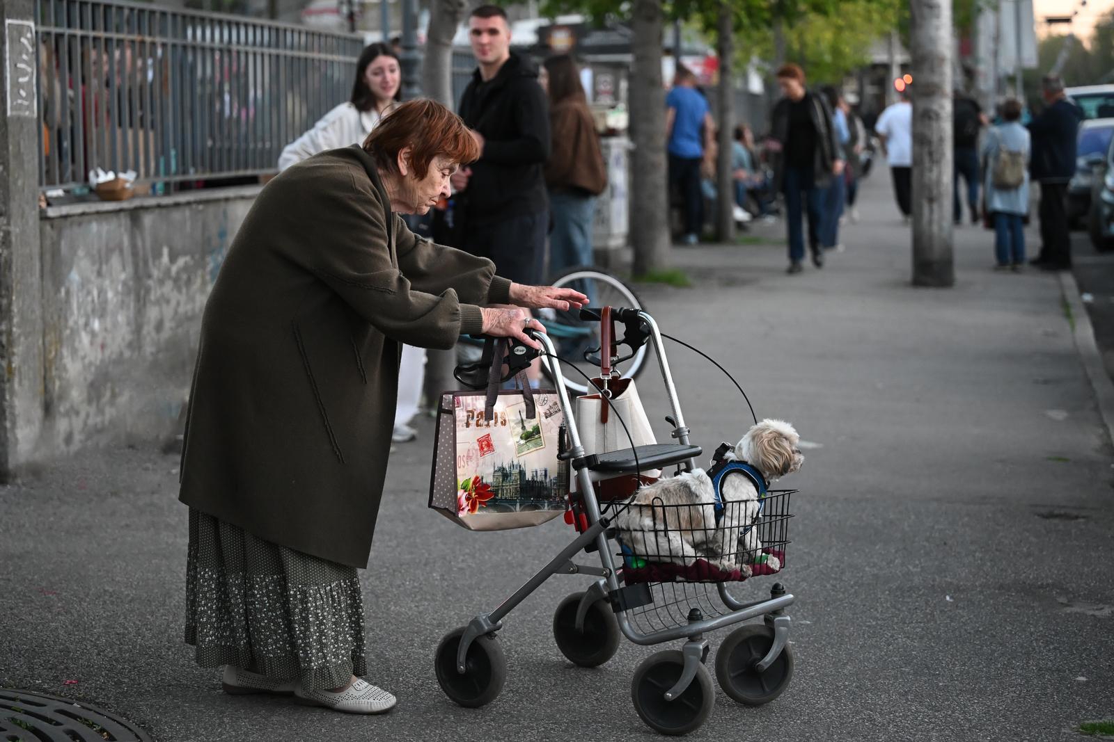 FOTO Dirljiv prizor iz Zagreba: Vlasnica je svog psa vozila u hodalici