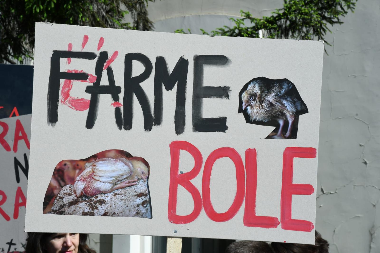 Prosvjed u Sisku protiv megafarmi i klaonica. "Nije gotovo dok nije gotovo"