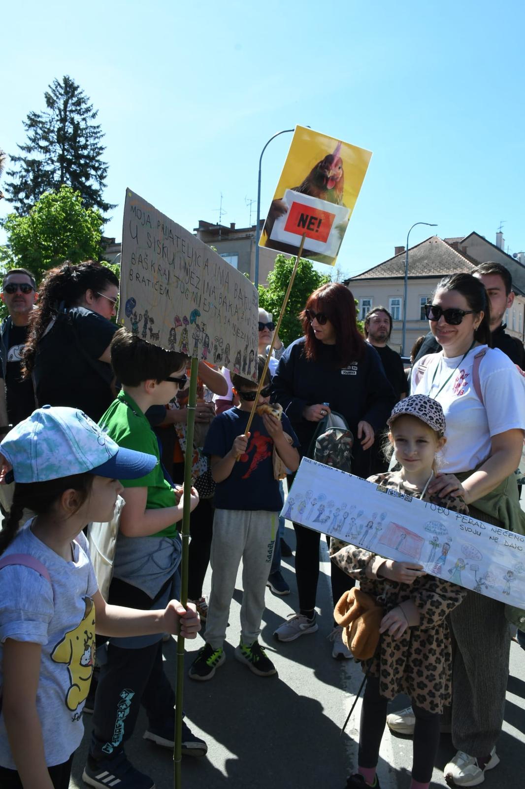 Prosvjed u Sisku protiv megafarmi i klaonica. "Nije gotovo dok nije gotovo"