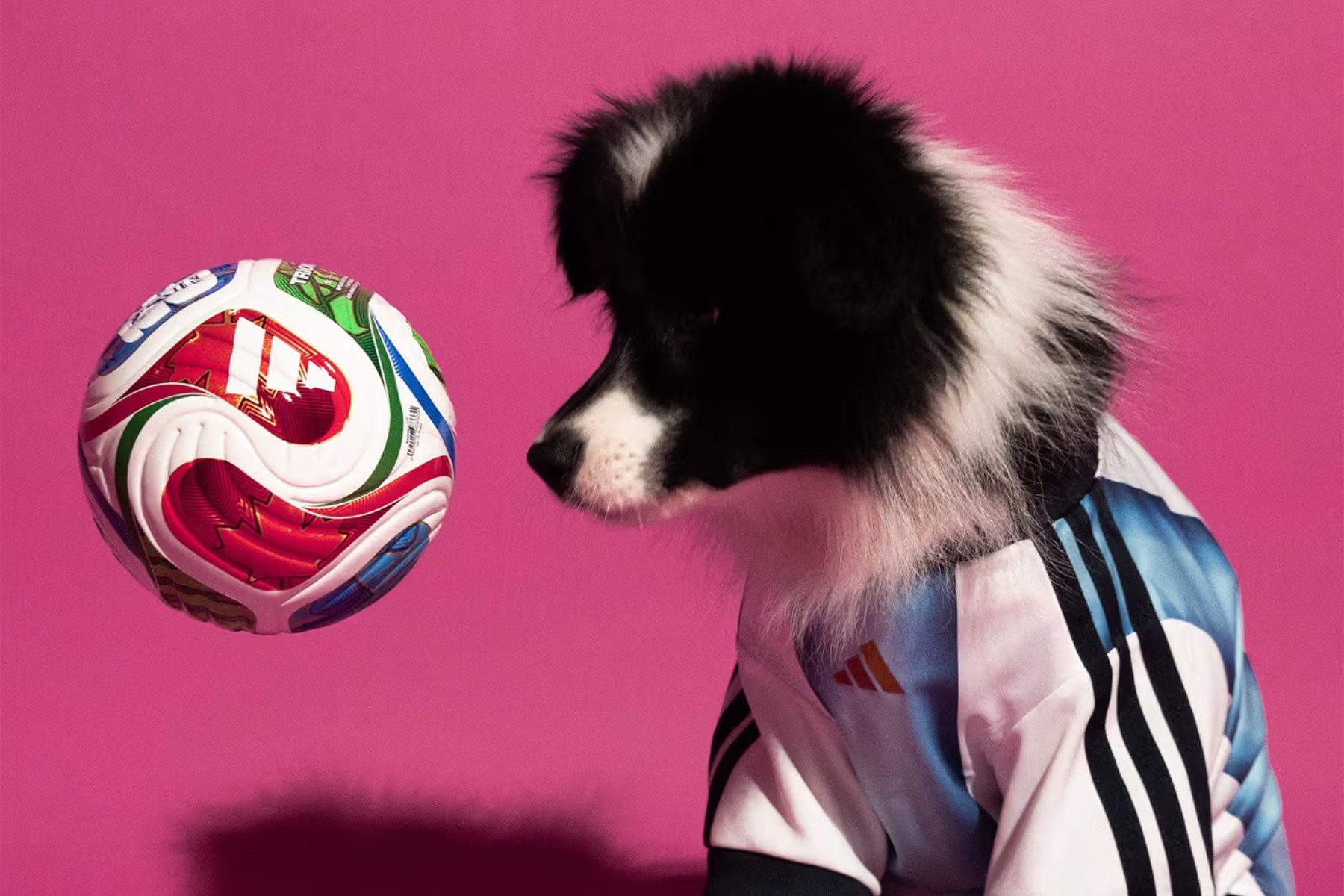adidas lansira nogometne dresove za ljubimce, neodoljivi su