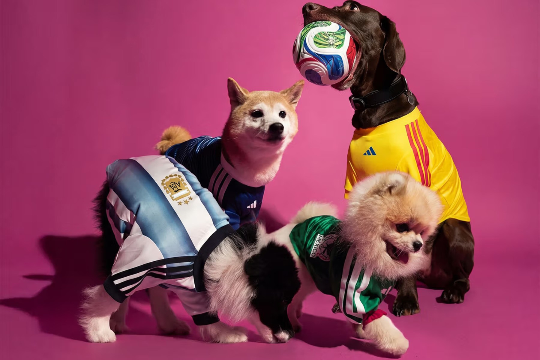 adidas lansira nogometne dresove za ljubimce, neodoljivi su