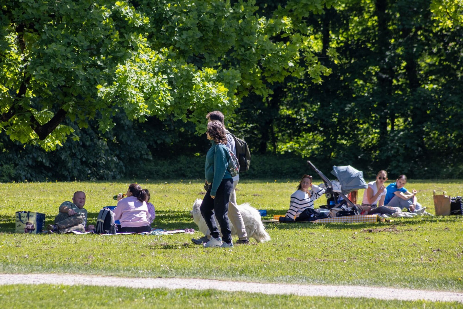 Maksimir