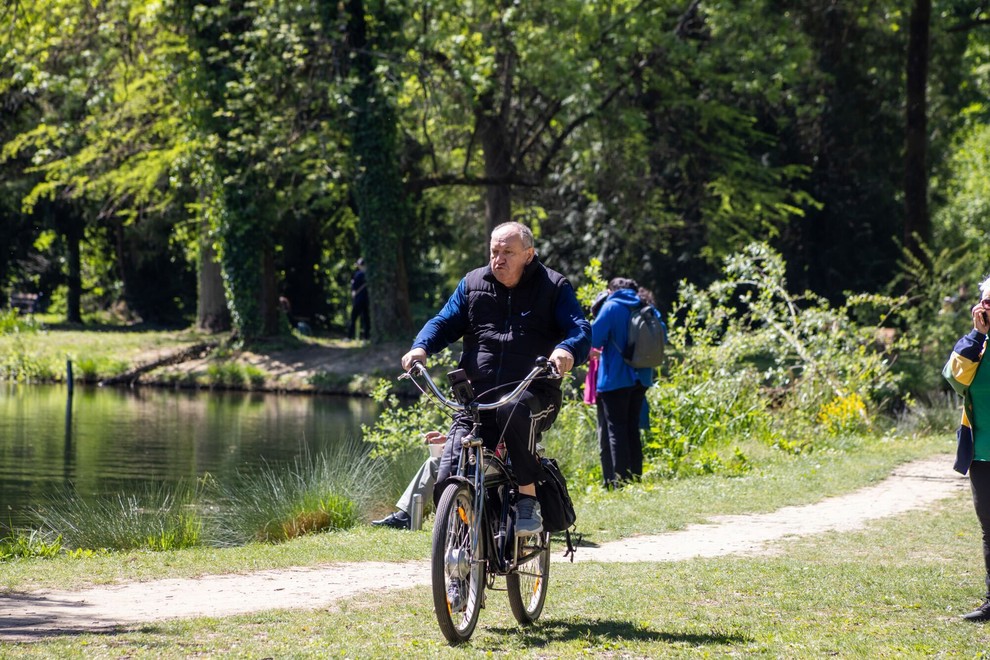 Maksimir