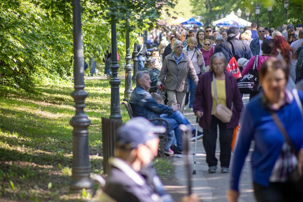 Maksimir