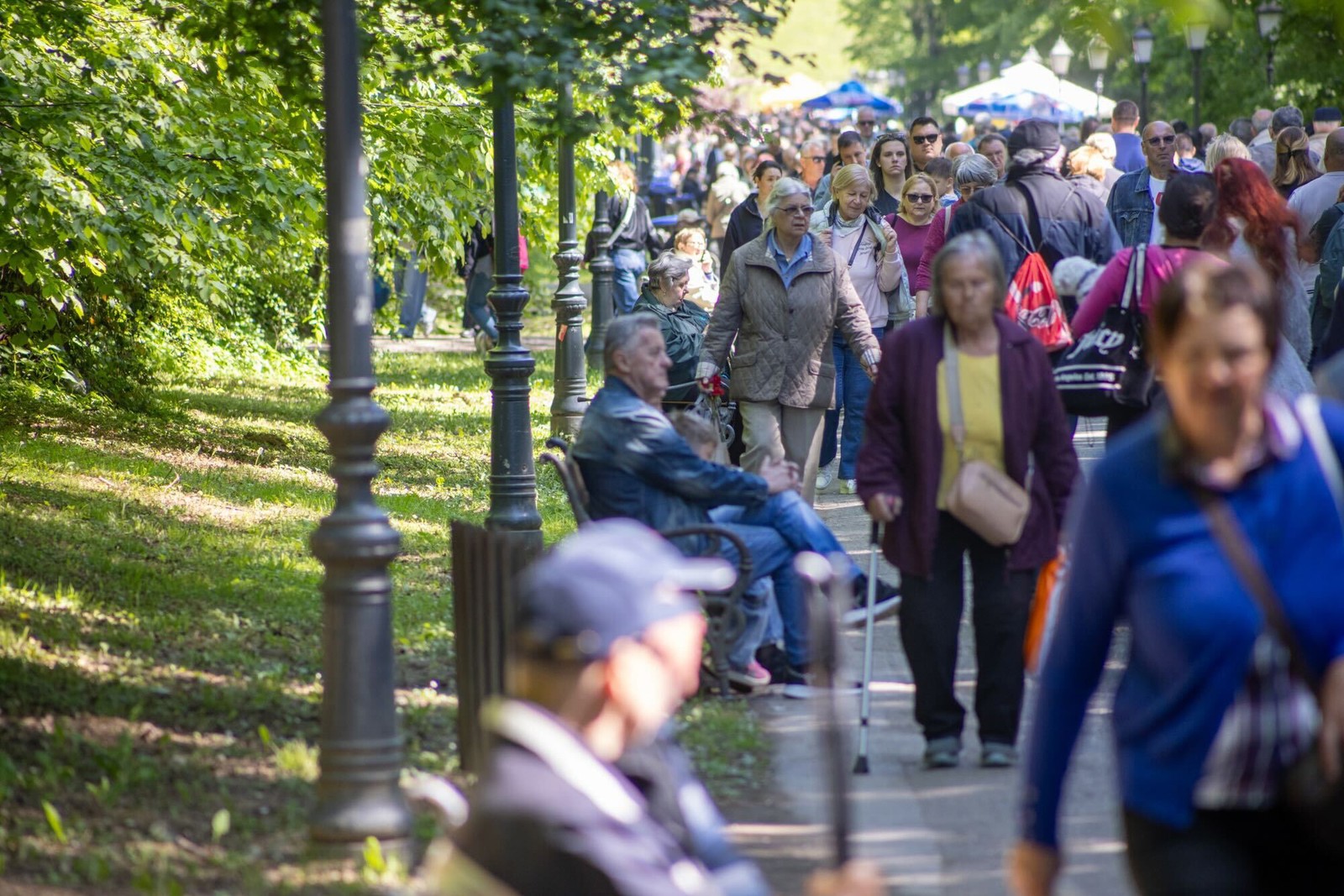Maksimir