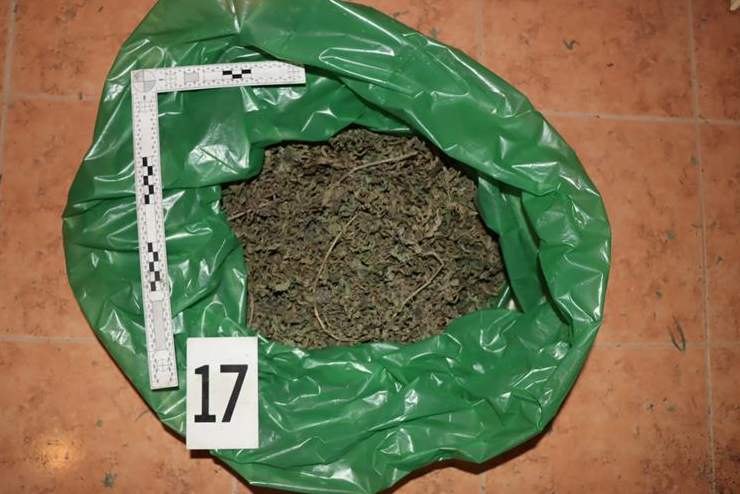 FOTO Slovenac u Istri pao s više od 4 kg marihuane. Našli mu i laboratorij