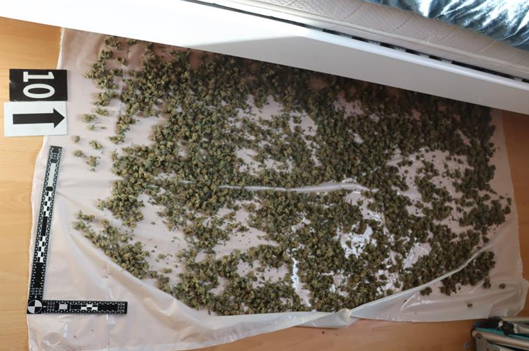 FOTO Slovenac u Istri pao s više od 4 kg marihuane. Našli mu i laboratorij