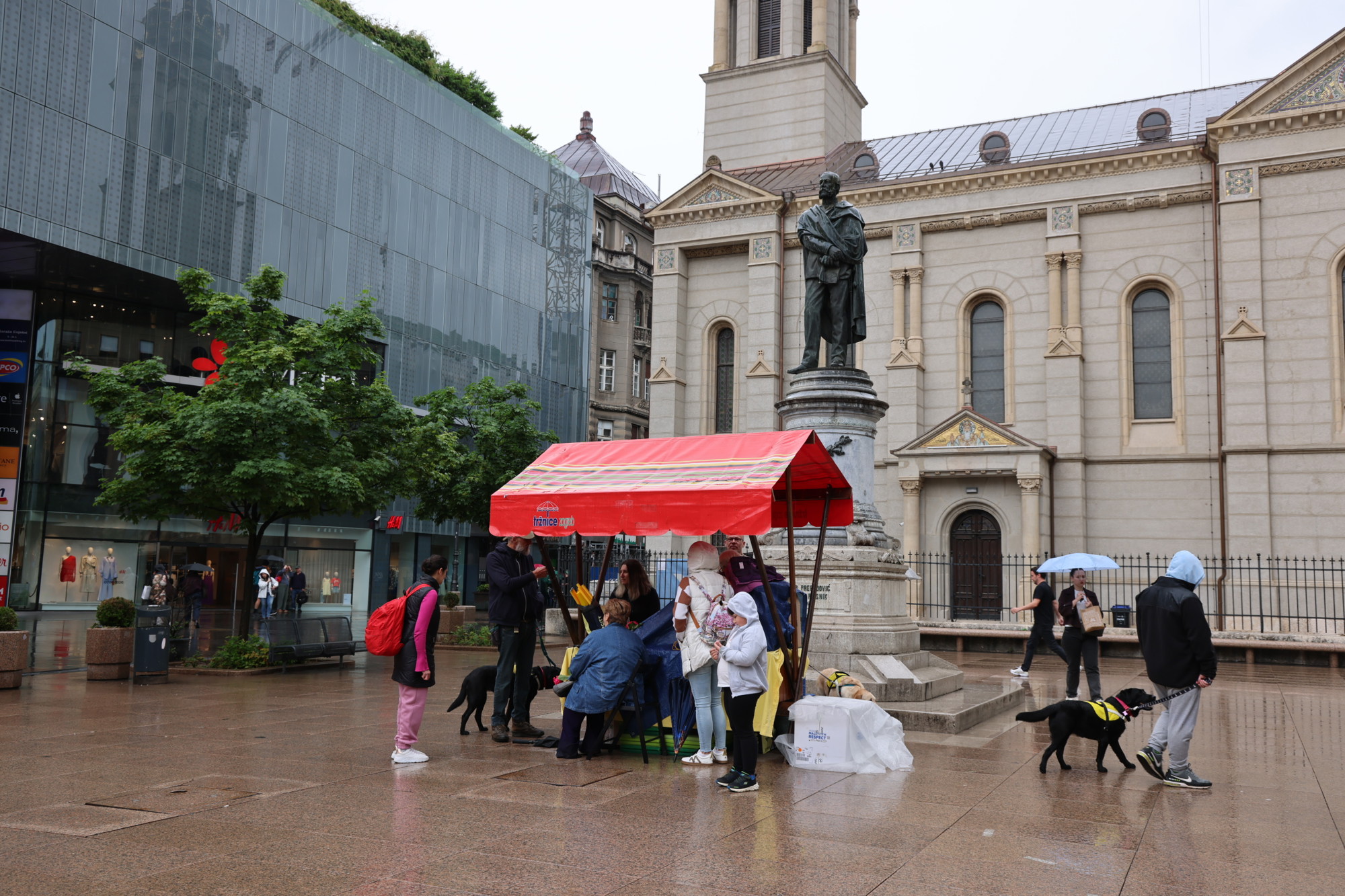 FOTO U centru Zagreba okupili se psi pomagači i terapijski psi😊
