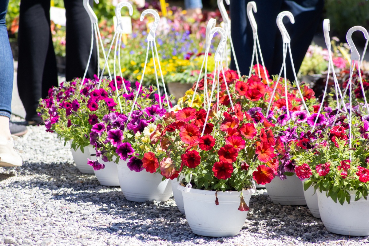 GALERIJA Pogledajte kako izgleda ovogodišnji Floraart na Bundeku