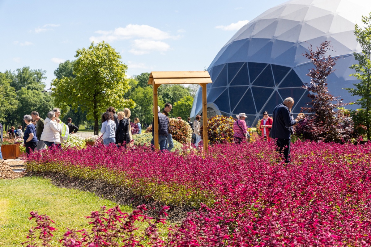 GALERIJA Pogledajte kako izgleda ovogodišnji Floraart na Bundeku