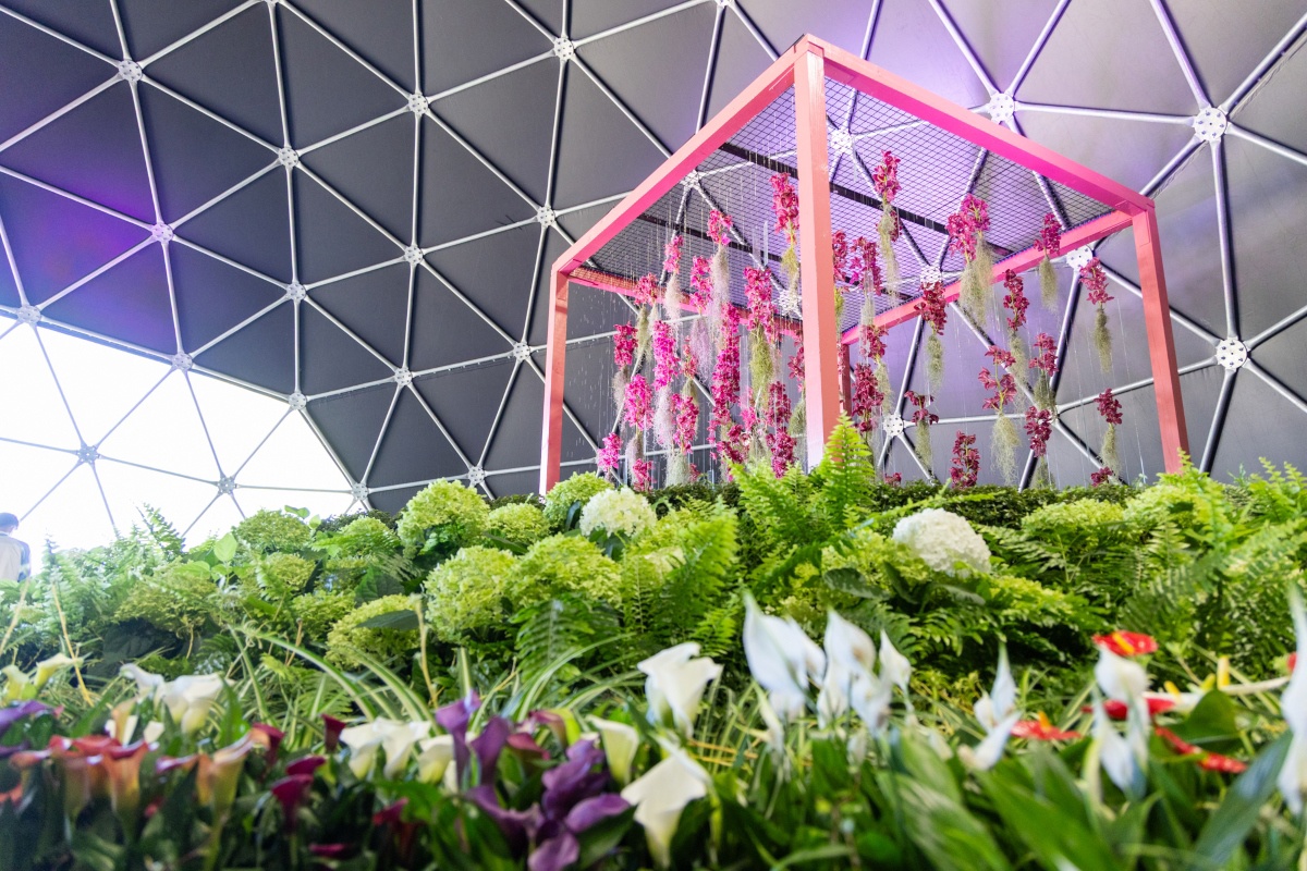 GALERIJA Pogledajte kako izgleda ovogodišnji Floraart na Bundeku
