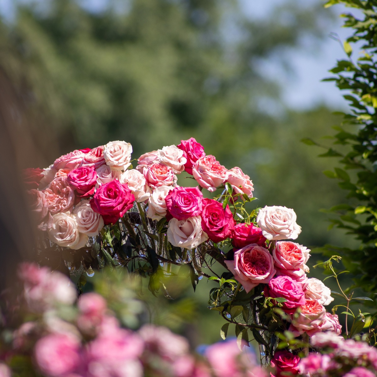 GALERIJA Pogledajte kako izgleda ovogodišnji Floraart na Bundeku