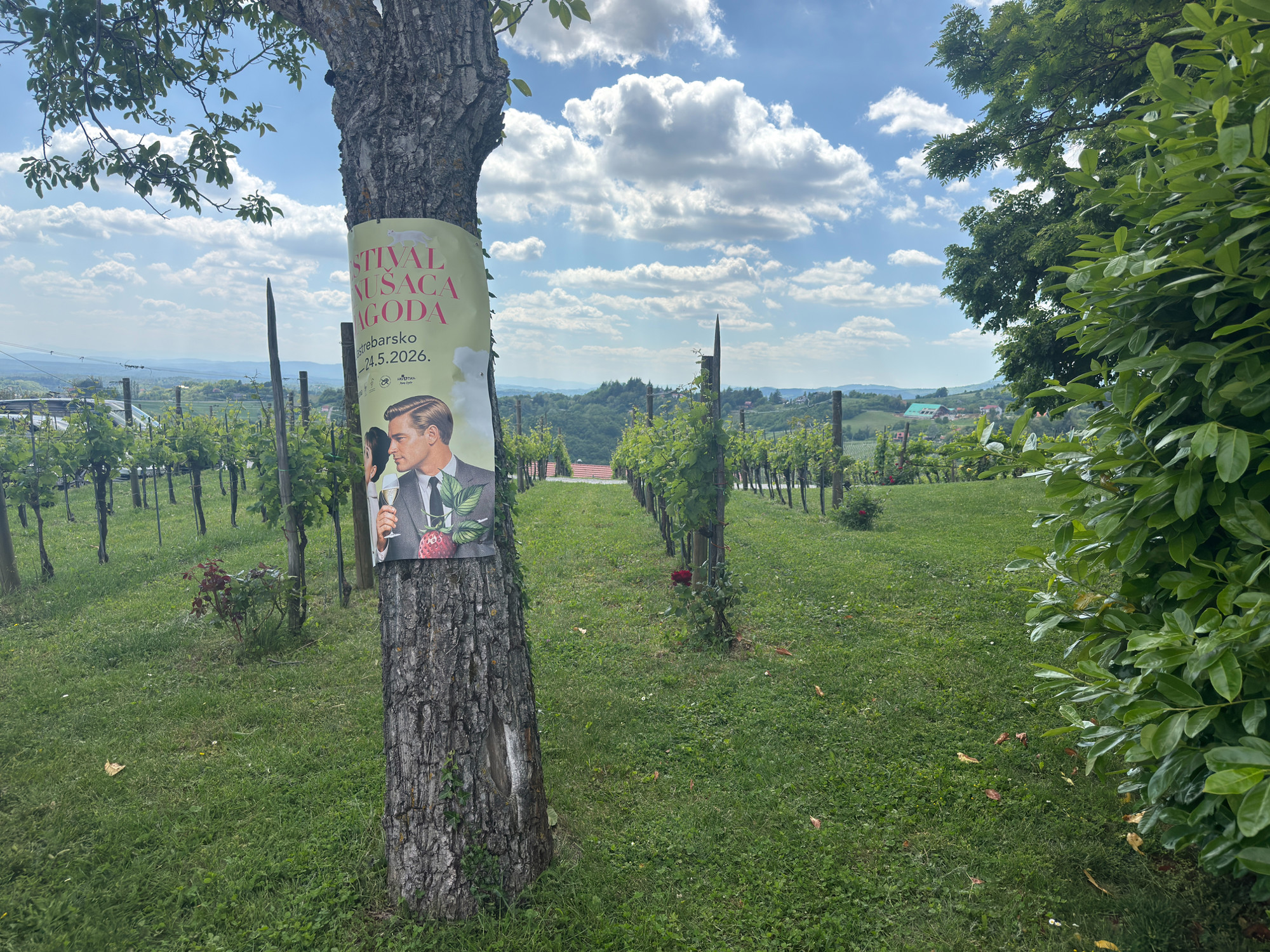 Počeo je Festival pjenušaca i jagoda na Plešivici, posjetili smo ga