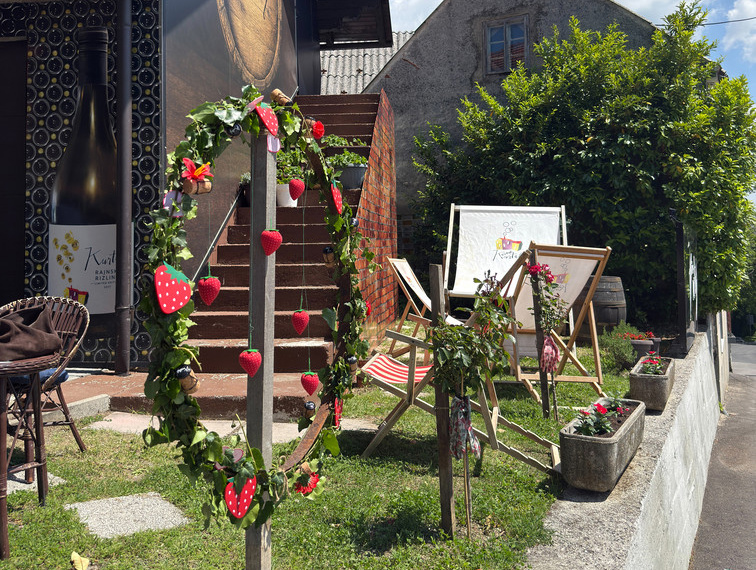 Počeo je Festival pjenušaca i jagoda na Plešivici, posjetili smo ga