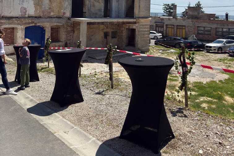 Počeo je Festival pjenušaca i jagoda na Plešivici, posjetili smo ga