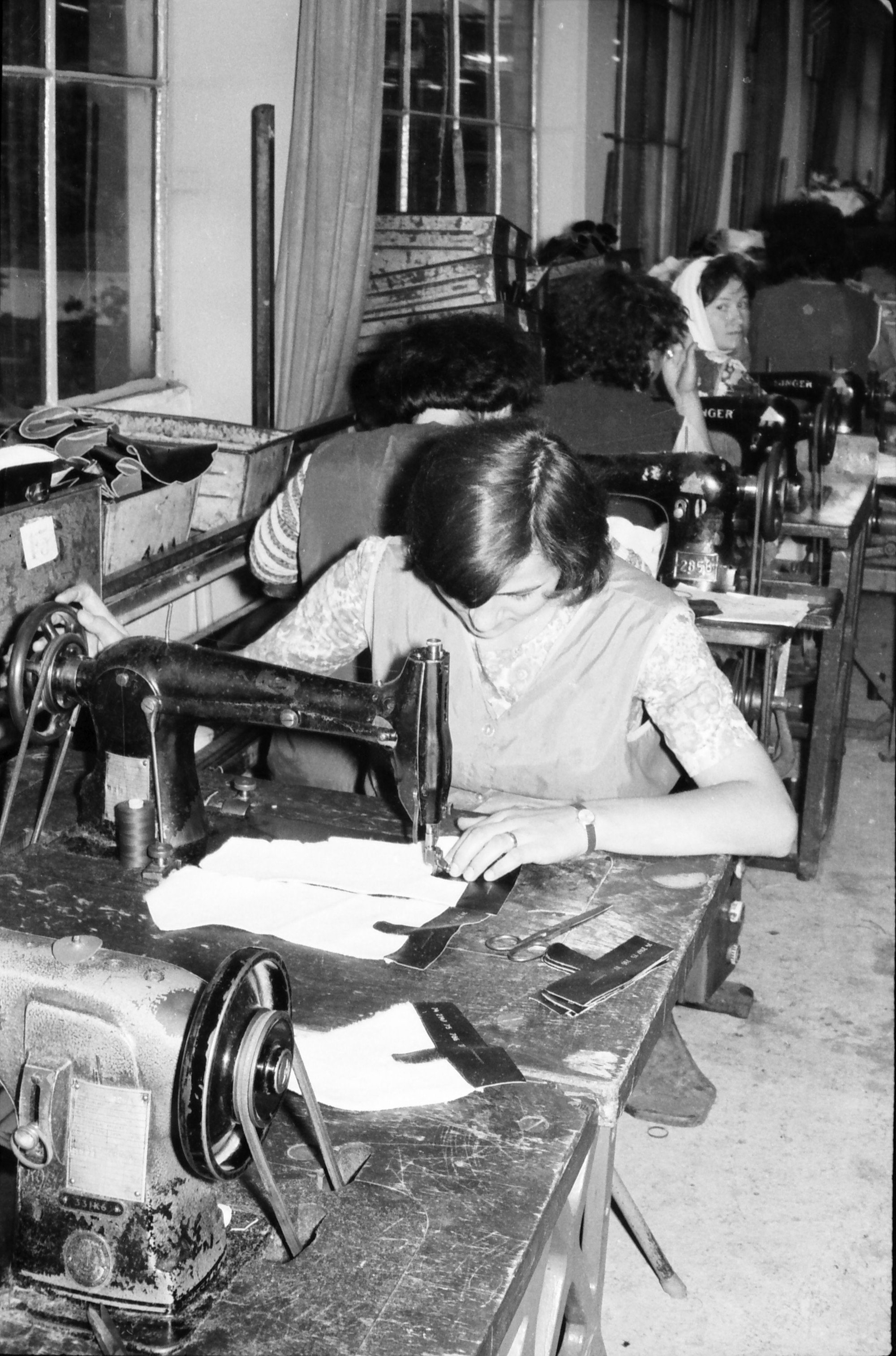 Uz njih su odrasli milijuni Hrvata, rat ih je gotovo uništio. I danas ih obožavamo