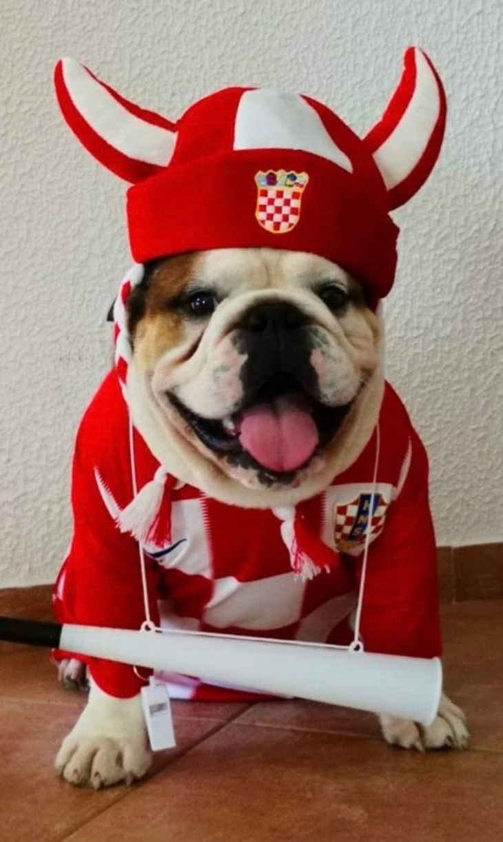 FOTO Slali ste nam fotke svojih navijača, složili smo najslađu galeriju dana