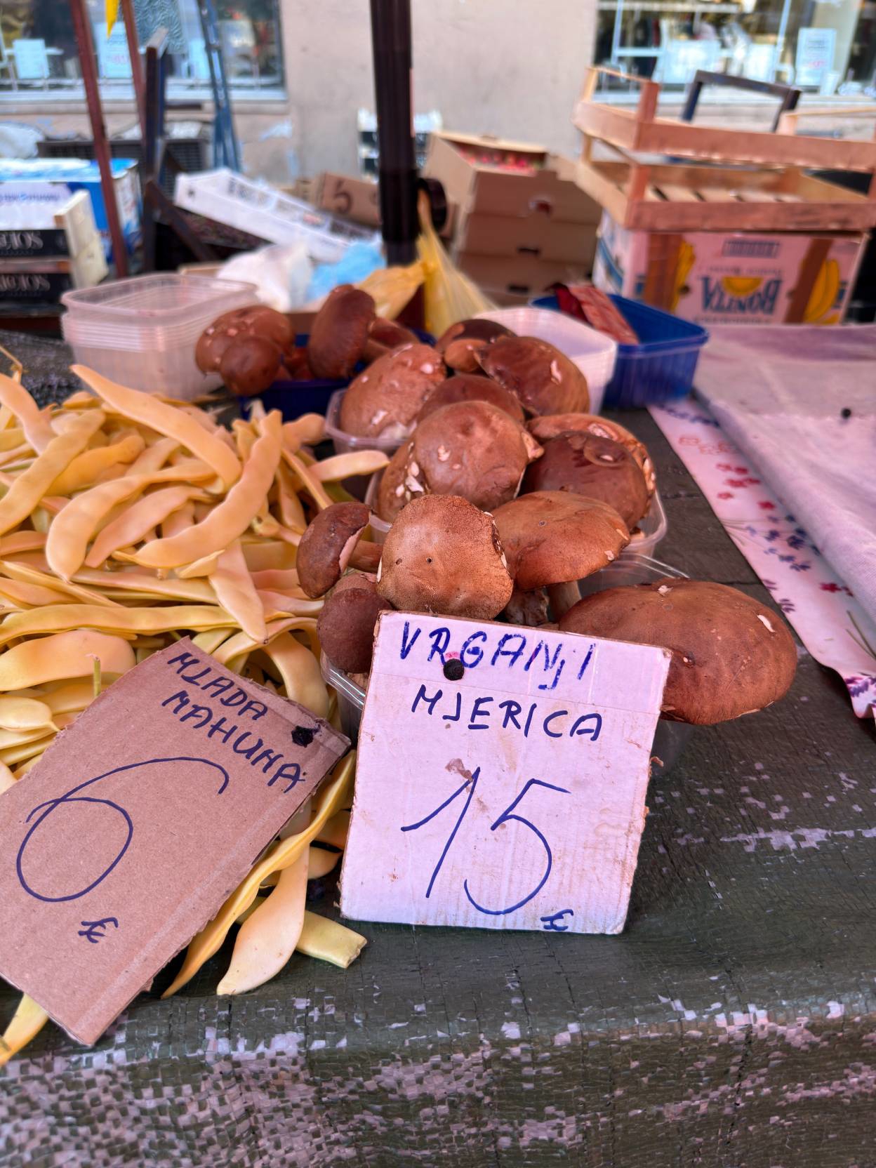 Marelice, "biljka vegeta"... Provjerili smo što se nudi na Dolcu
