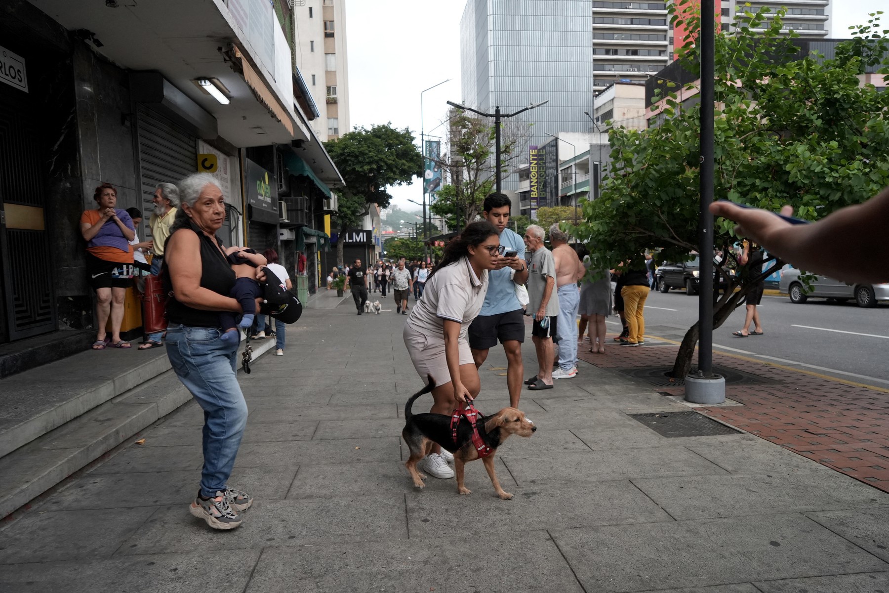 Stanovnici Venezuele spašavaju životinje iz ruševina nakon potresa
