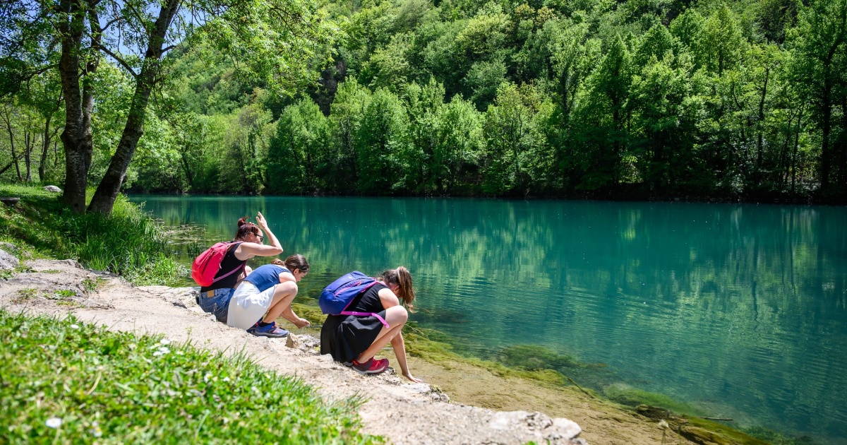 Navijači Bosne osvojili srca na SP-u, odjednom hrpa ljudi želi u BiH na odmor