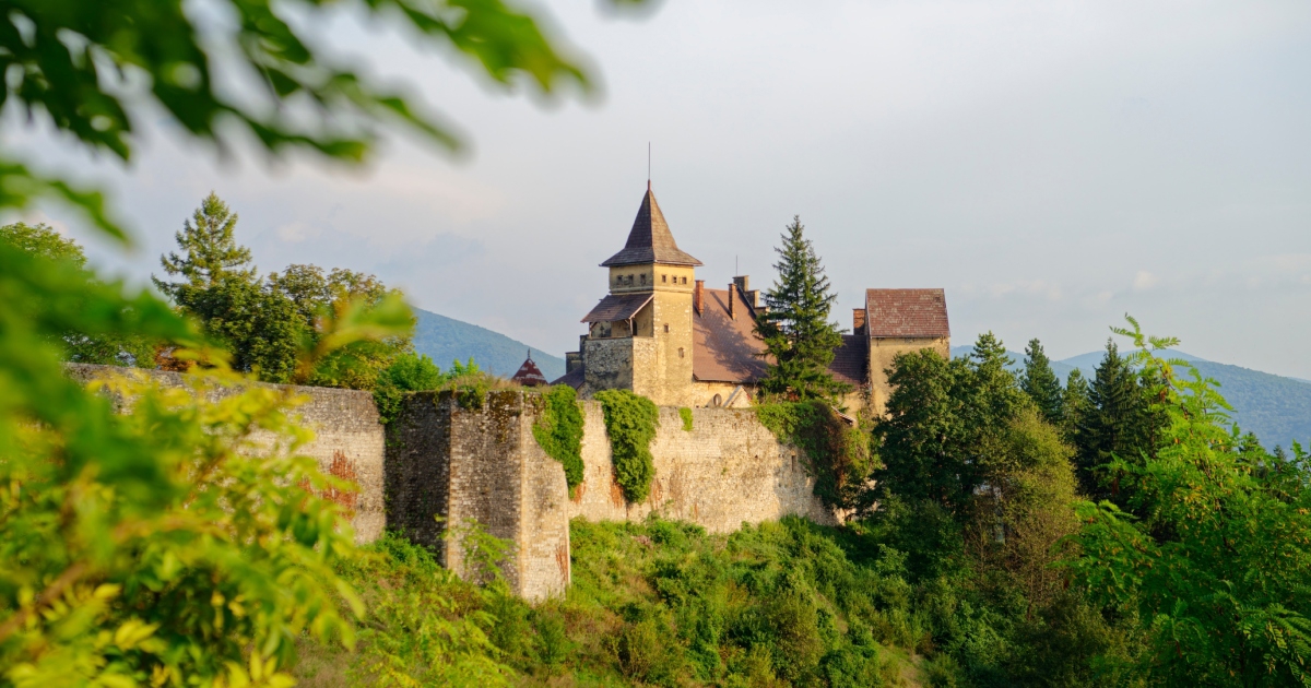 Navijači Bosne osvojili srca na SP-u, odjednom hrpa ljudi želi u BiH na odmor