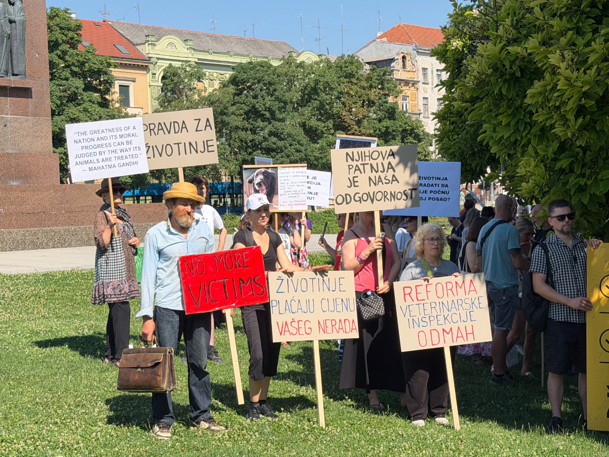 U Zagrebu održan prosvjed protiv zlostavljanja životinja. "Ne želimo brojati mrtve"