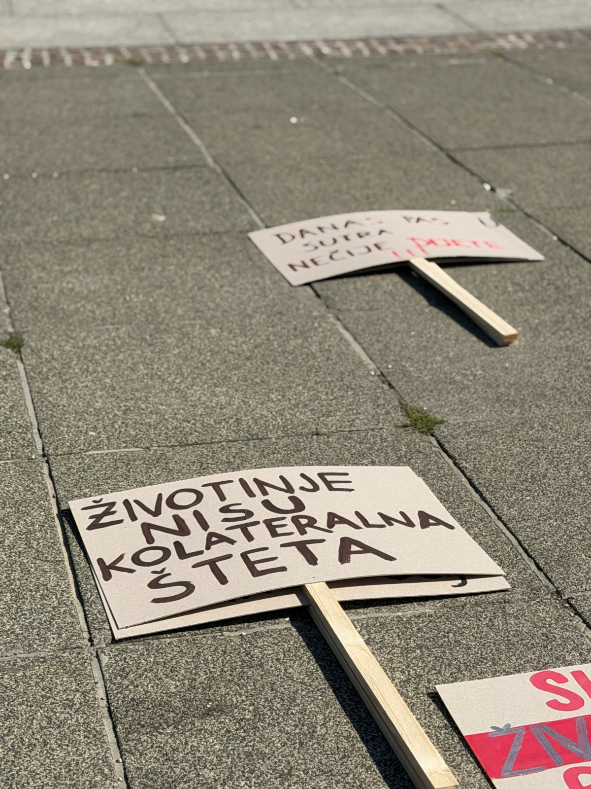 U Zagrebu održan prosvjed protiv zlostavljanja životinja. "Ne želimo brojati mrtve"