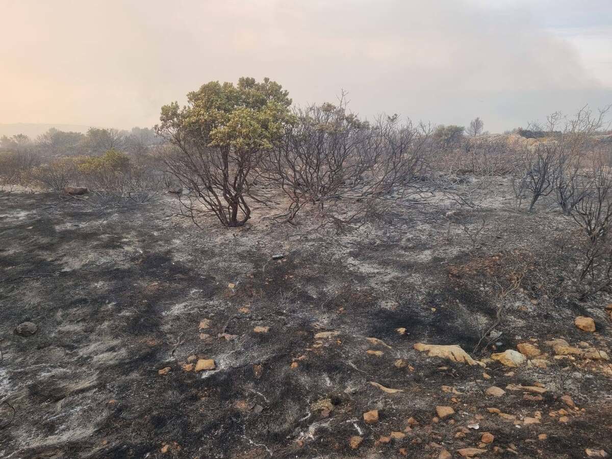 Požar na Visu pod nadzorom. Izgorjelo više od 300 hektara
