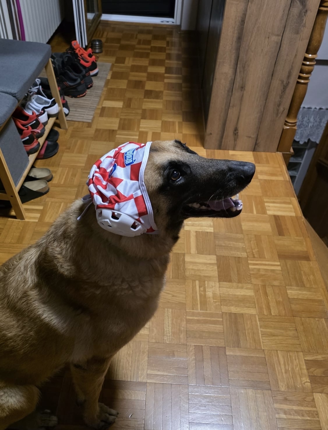 FOTO Najslađi navijači Vatrenih od jutra su u kockicama, pogledajte ih 🥰