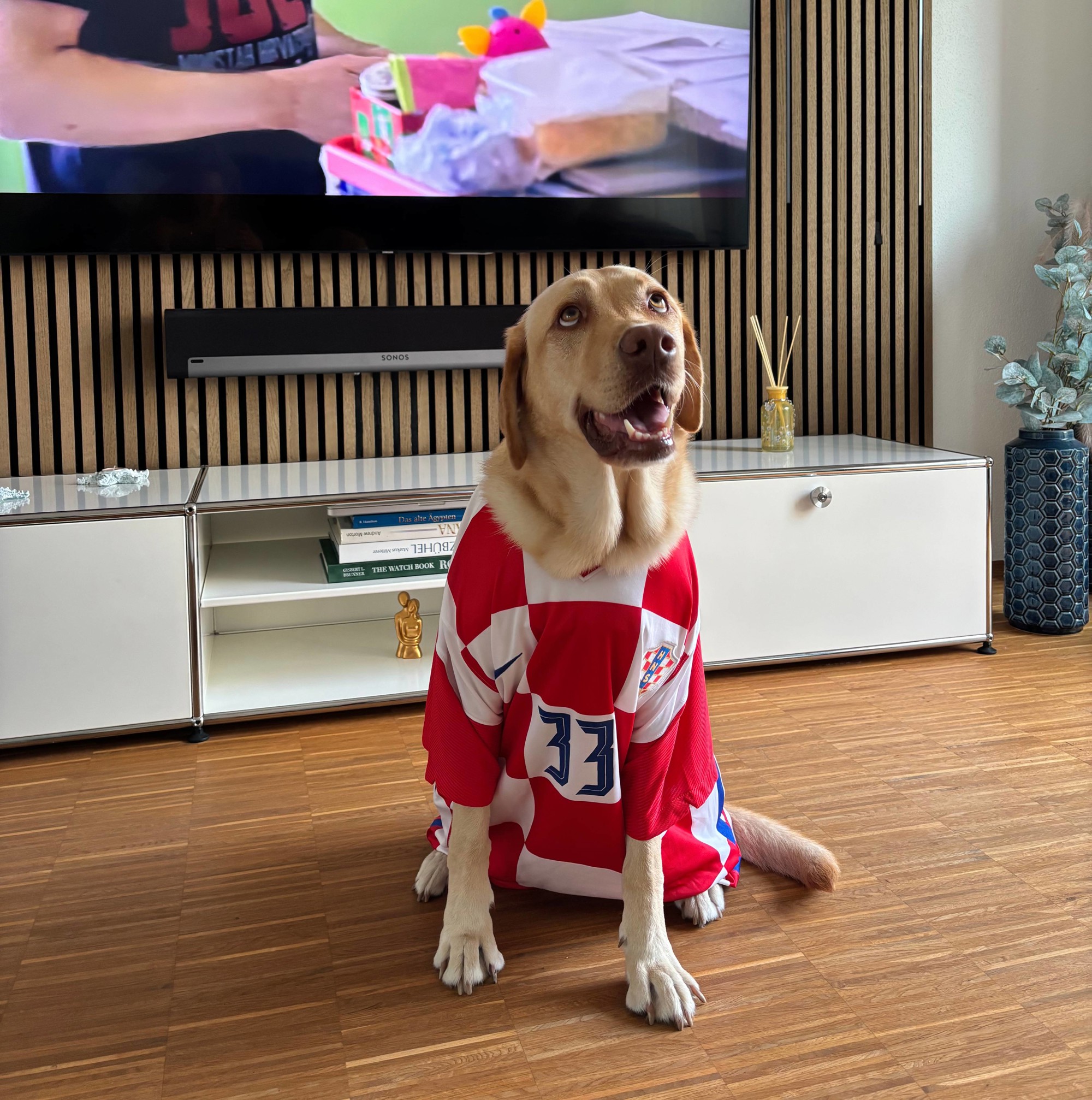 FOTO Najslađi navijači Vatrenih od jutra su u kockicama, pogledajte ih 🥰