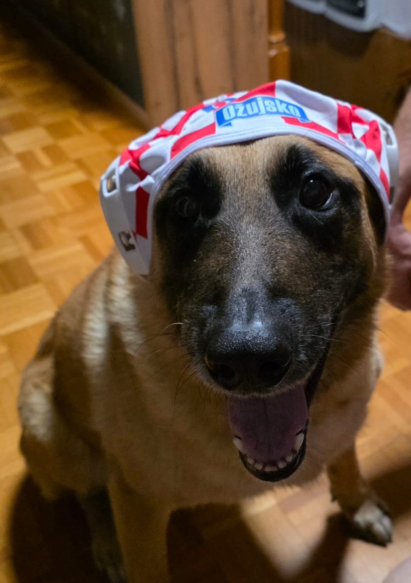 FOTO Najslađi navijači Vatrenih od jutra su u kockicama, pogledajte ih 🥰