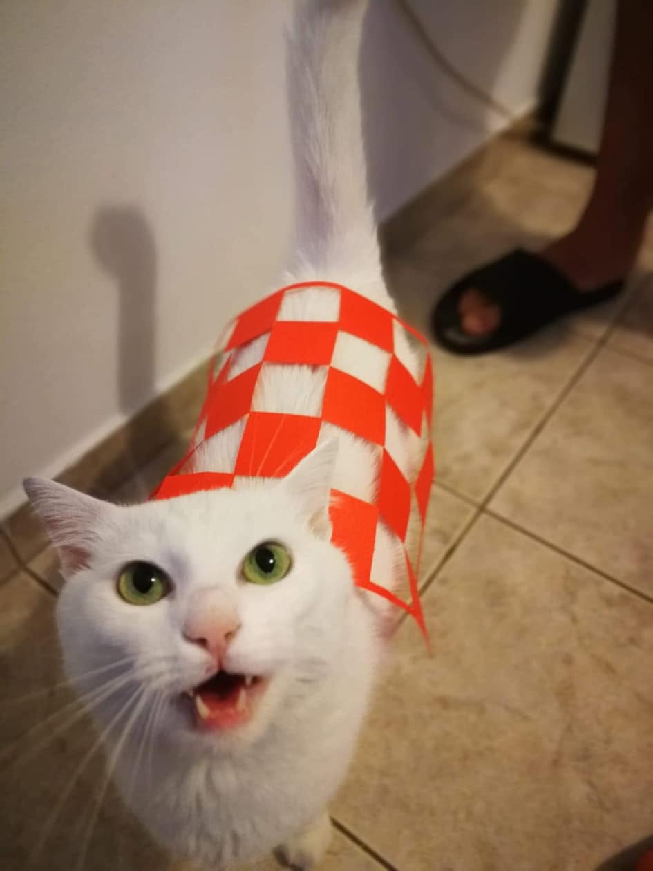 FOTO Najslađi navijači Vatrenih od jutra su u kockicama, pogledajte ih 🥰