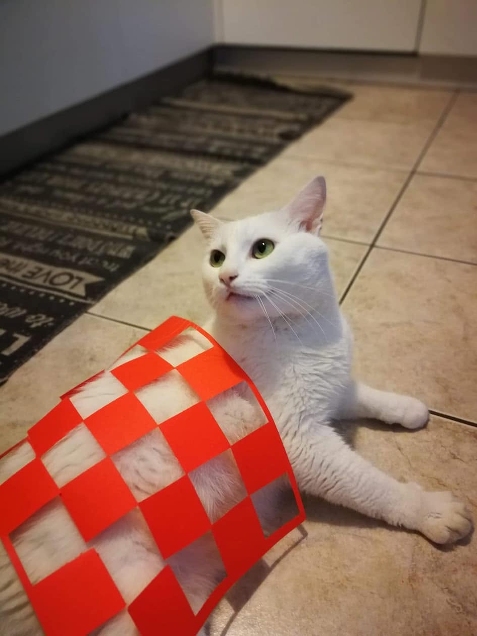FOTO Najslađi navijači Vatrenih od jutra su u kockicama, pogledajte ih 🥰