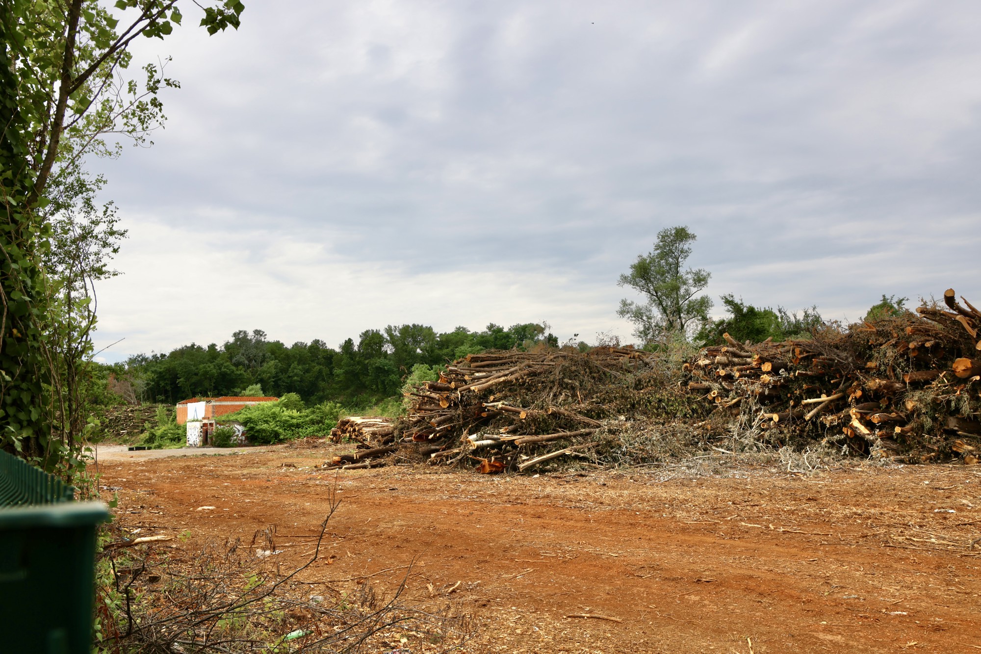 FOTO Posječena šuma na Mullerovom brijegu, debla čekaju odvoz