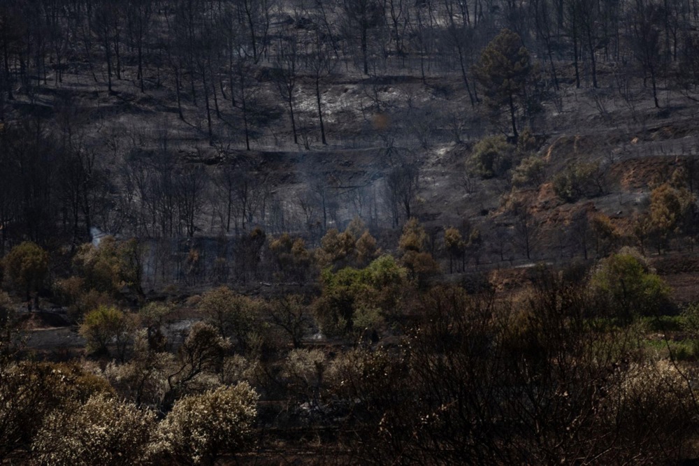FOTO U Francuskoj nakon toplinskog vala izbili veliki požari