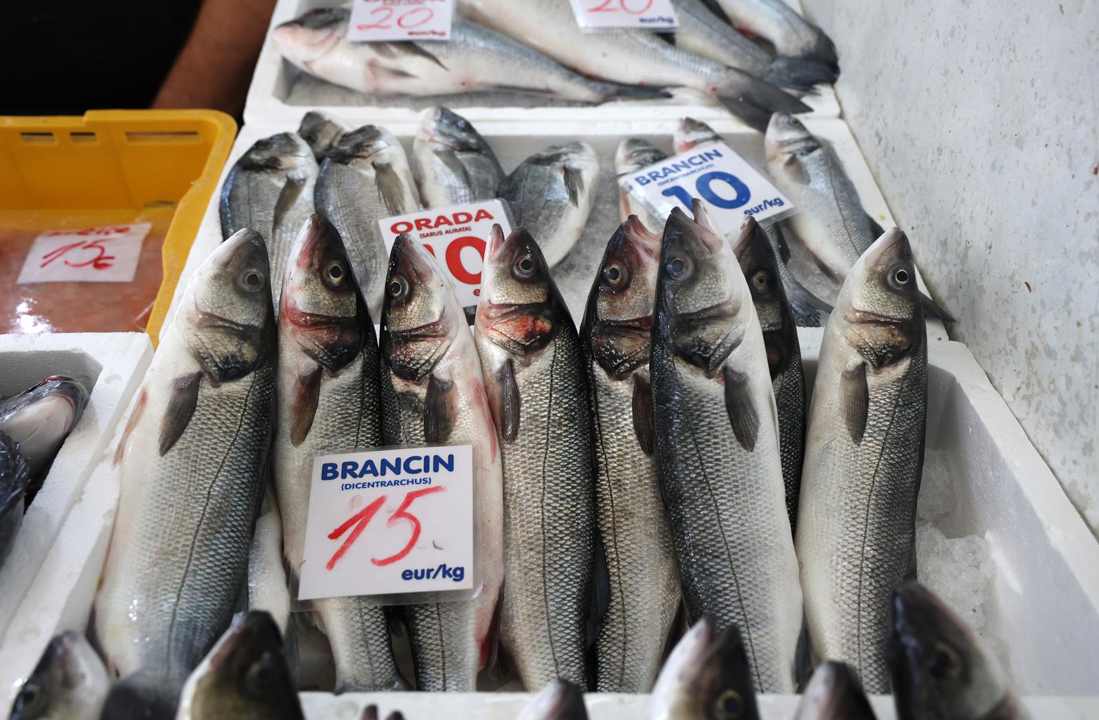 FOTO Ponuda i cijene ribe na splitskoj ribarnici - za svačiji džep