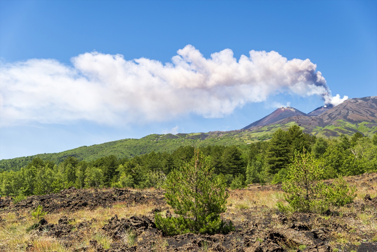 VIDEO I FOTO Zbog erupcije Etne zatvorena najprometnija zračna luka na Siciliji