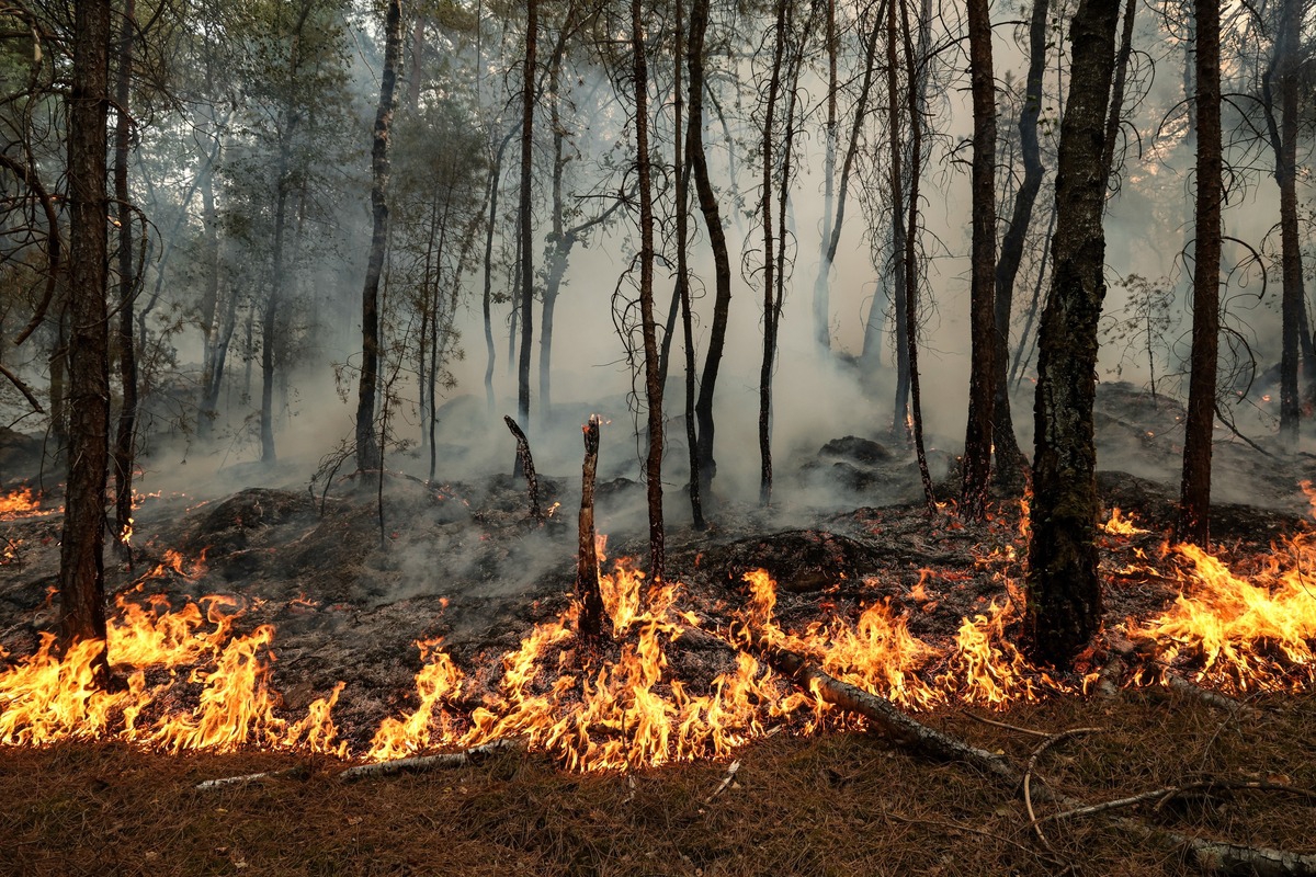 Zbog požara diljem Francuske uhićeno 59 ljudi. Među njima i maloljetnici